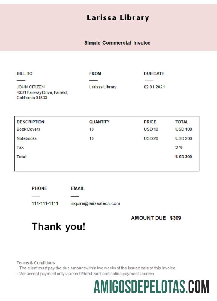 Fatura da Biblioteca Larissa dos EUA modelo